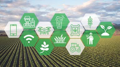 کشاورزی دقیق بهره گیری از پهپادها و ربات ها در مدیریت مزارع