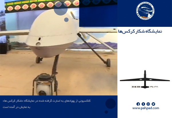 نمایشگاه شکار کرکس‌ها