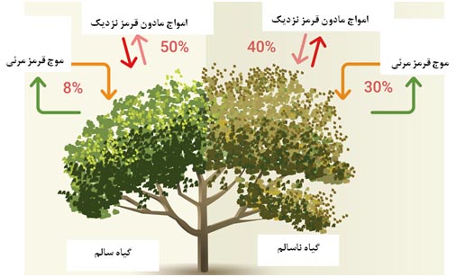 بررسی سلامت گیاه به وسیله پهپاد