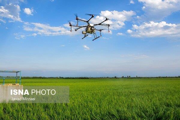 سمپاشی با پهپاد - مازندران - ایسنا - 13990421 5