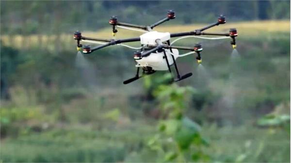 سمپاشی هوایی یکهزار و ۱۳۷ هکتار از مزارع لرستان