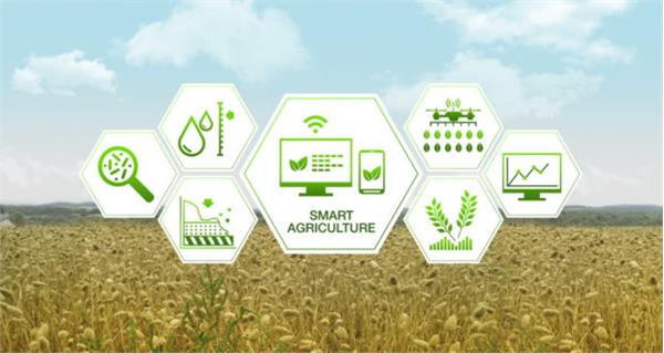 ظهور سریع هوش مصنوعی در بازار کشاورزی