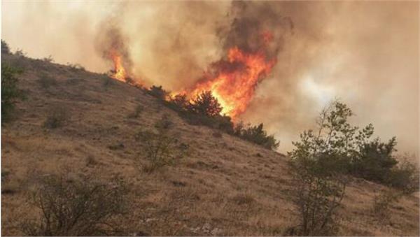 تا پایان سال همه استان ها به پهپاد رصد آتش سوزی مجهز می شوند