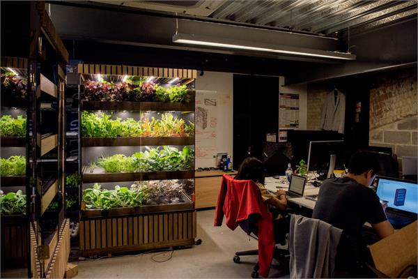 ظهور استارت آپ های جدید در صنعت کشاورزی به طور خاص 3