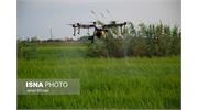 سمپاشی با پهپاد - مازندران - ایسنا - 13990421 12